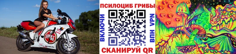 mega tor  Коркино  Галлюциногенные грибы Psilocybine cubensis  где купить наркоту 